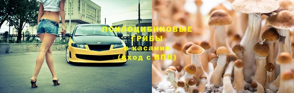 ECSTASY Михайловск