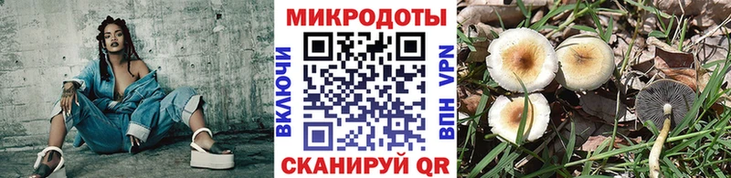 Купить  Буй  Галлюциногенные грибы мухоморы 